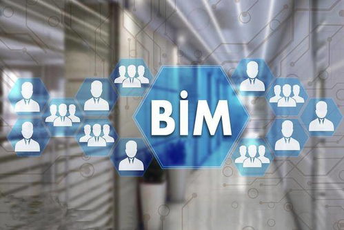 BIM造价咨询服务的应用 从信息整合到价值创造